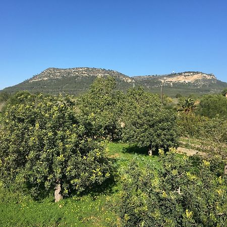 فيلا Son Sampol لوكماجور المظهر الخارجي الصورة